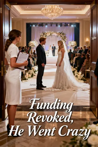Cover of Funding Revoked, He Went Crazy