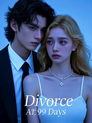 Cover of Divorce After 999 Days