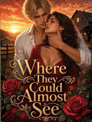 Cover of Where They Could Almost See