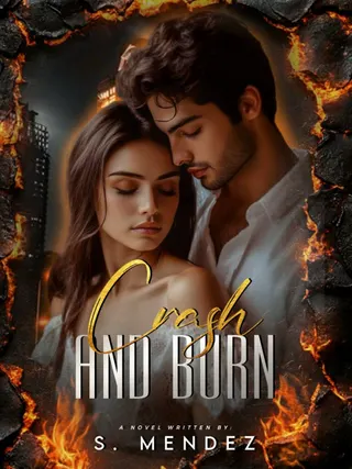 Cover of Crash and Burn